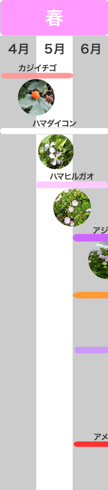 �G�߂̌��ǂ���@�t