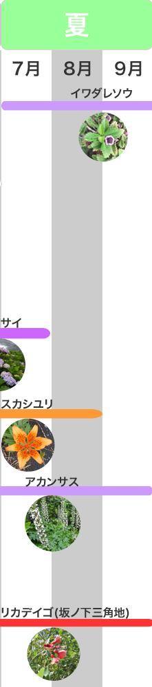 �G�߂݂̂ǂ���@��