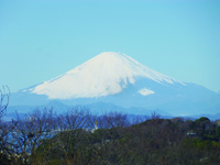 冬　相模湾や富士山を望む風景