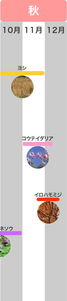 �G�߂̌��ǂ���@�H