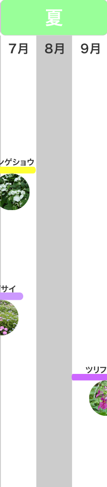 �G�߂݂̂ǂ���@��