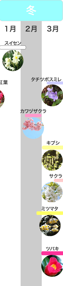 �G�߂̌��ǂ���@�~