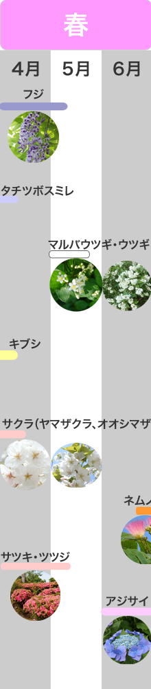 �G�߂̌��ǂ���@�t